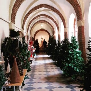 Kerstbomen en kerst versiering van onze winkel
#kerstboom #kerstmas #christmas 🌲 #emmausfeniks #venlo #christmastree #christmasdecor #vintage #christmastime #christmasshopping